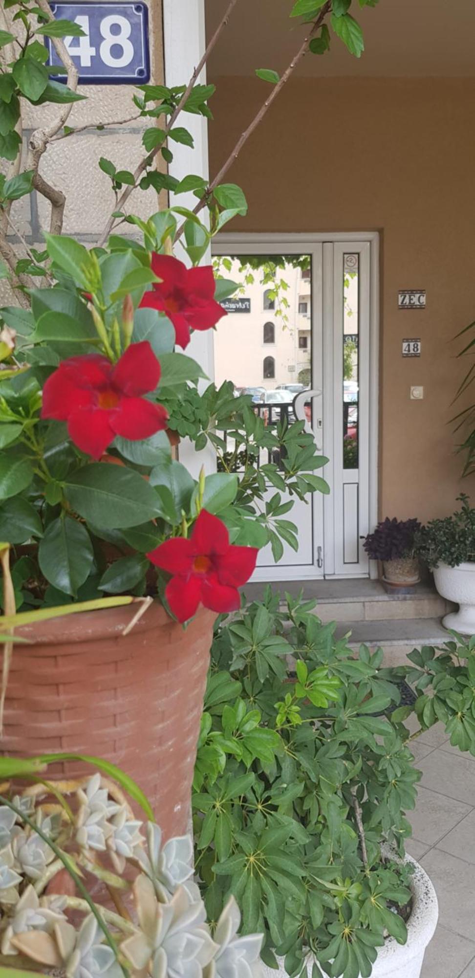 Villa Pedja Zec Exclusive 3+ Budva Extérieur photo